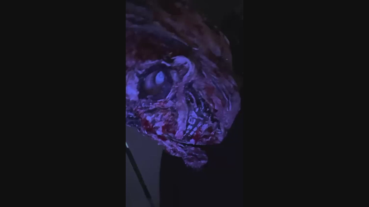 Video laden: 